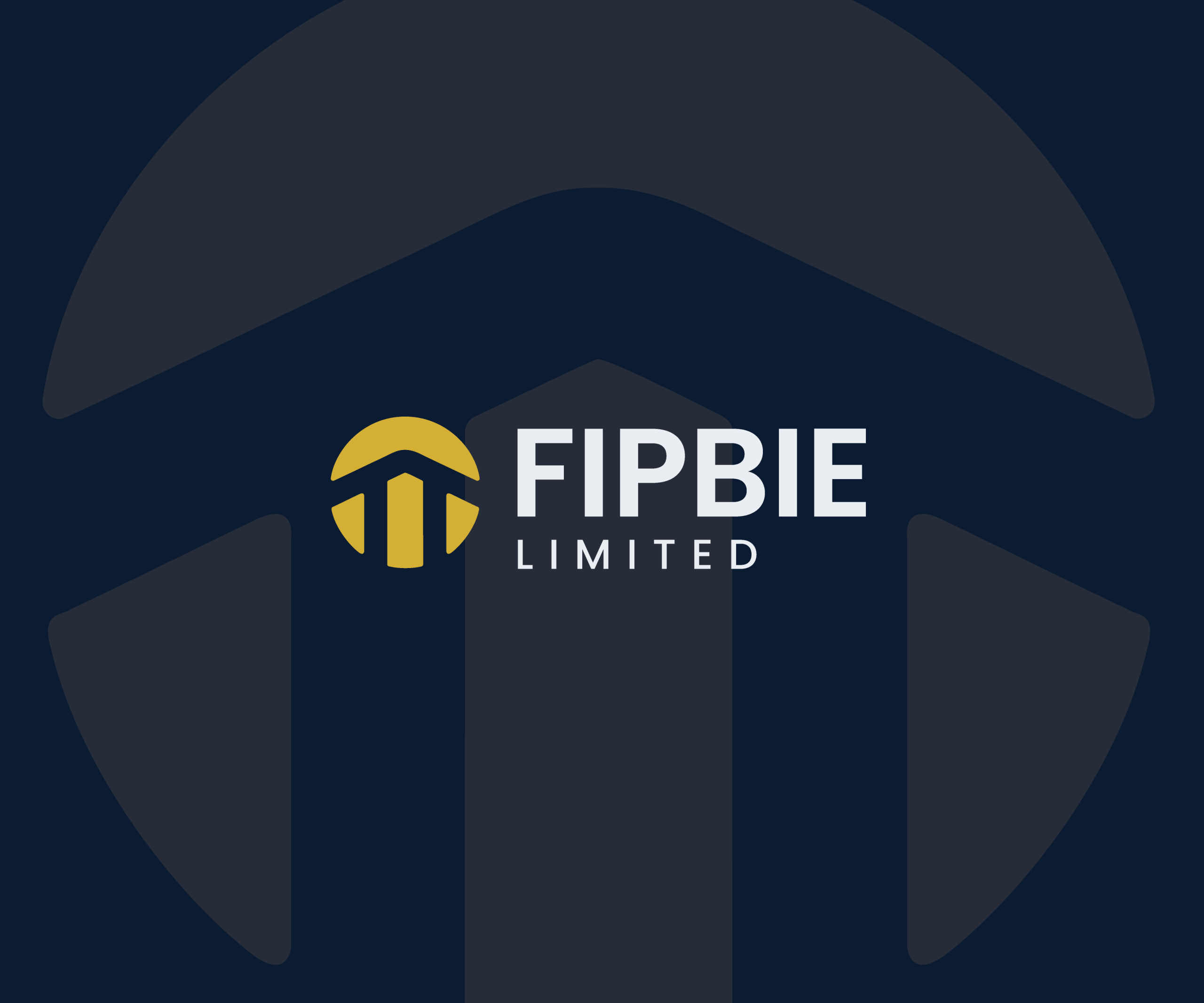 FIPBIE Brand Identity Designed by Dutus Digital